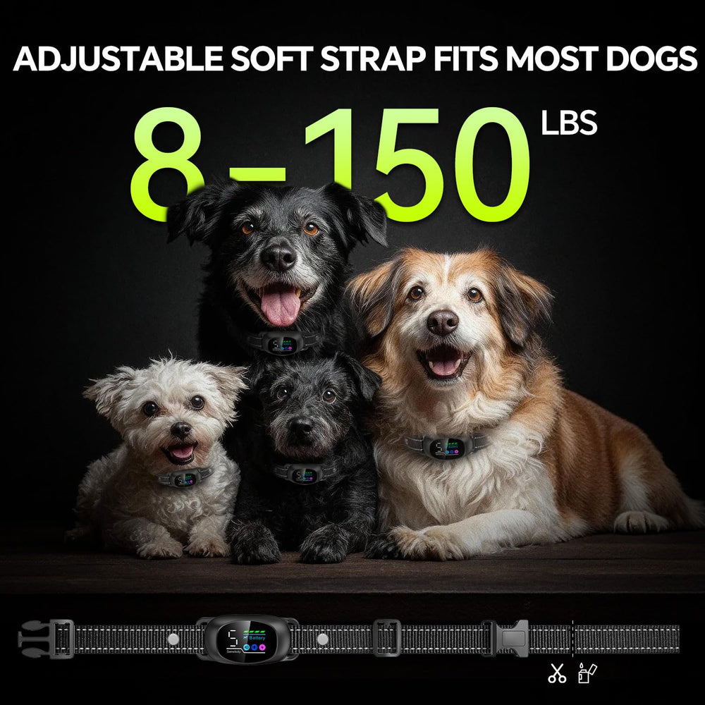 Adjustable neck strap adapts to most breeds for versatile home and outdoor use.