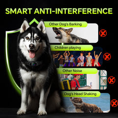 ip67 waterproof Tucnkac bark collar lets dogs train confidently in rain, pool, or spray.