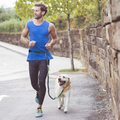 Tuff Mutt four-foot lead extended by a bungee for flexible movement.