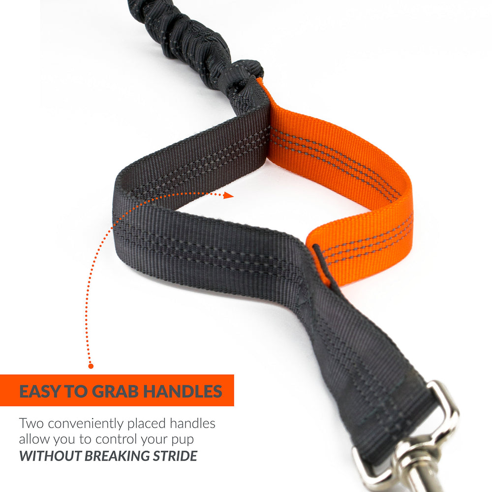 Tuff Mutt night-walk visibility showcases reflective features for safer outings.