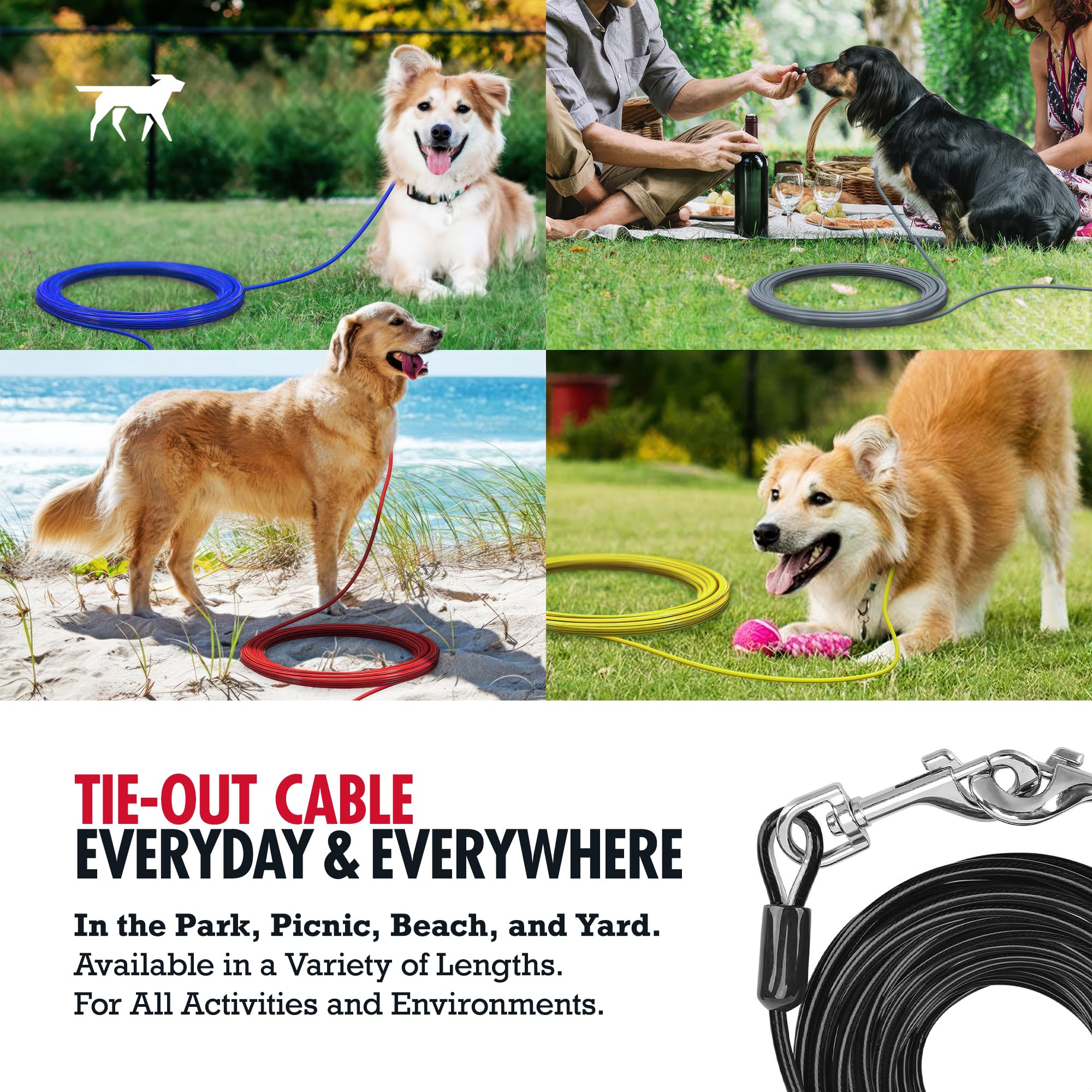Tuff Pupper anti-rust reflective coating keeps dogs visible at dusk.
