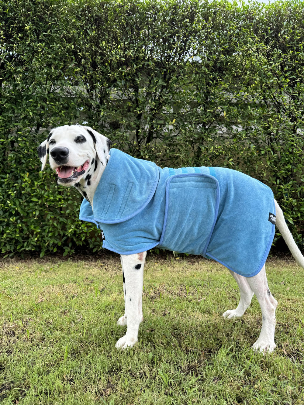 Tuff Pupper XL blue bath robe ideal for large dogs and quick drying.