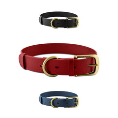 Tuff Pupper Classic heavy-duty collar buckle closeup showing rust-proof brass hardware for secure daily walks.