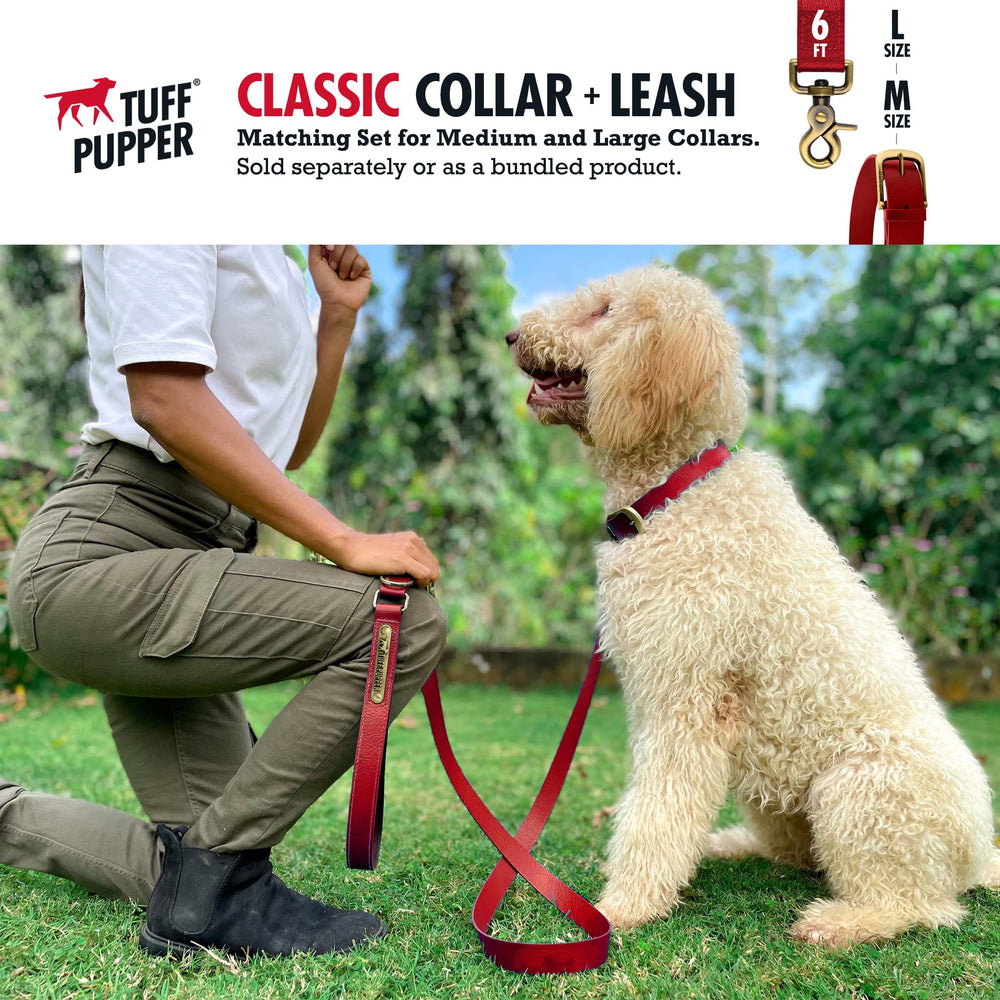 Tuff Pupper color options showcase versatile styling for every breed.