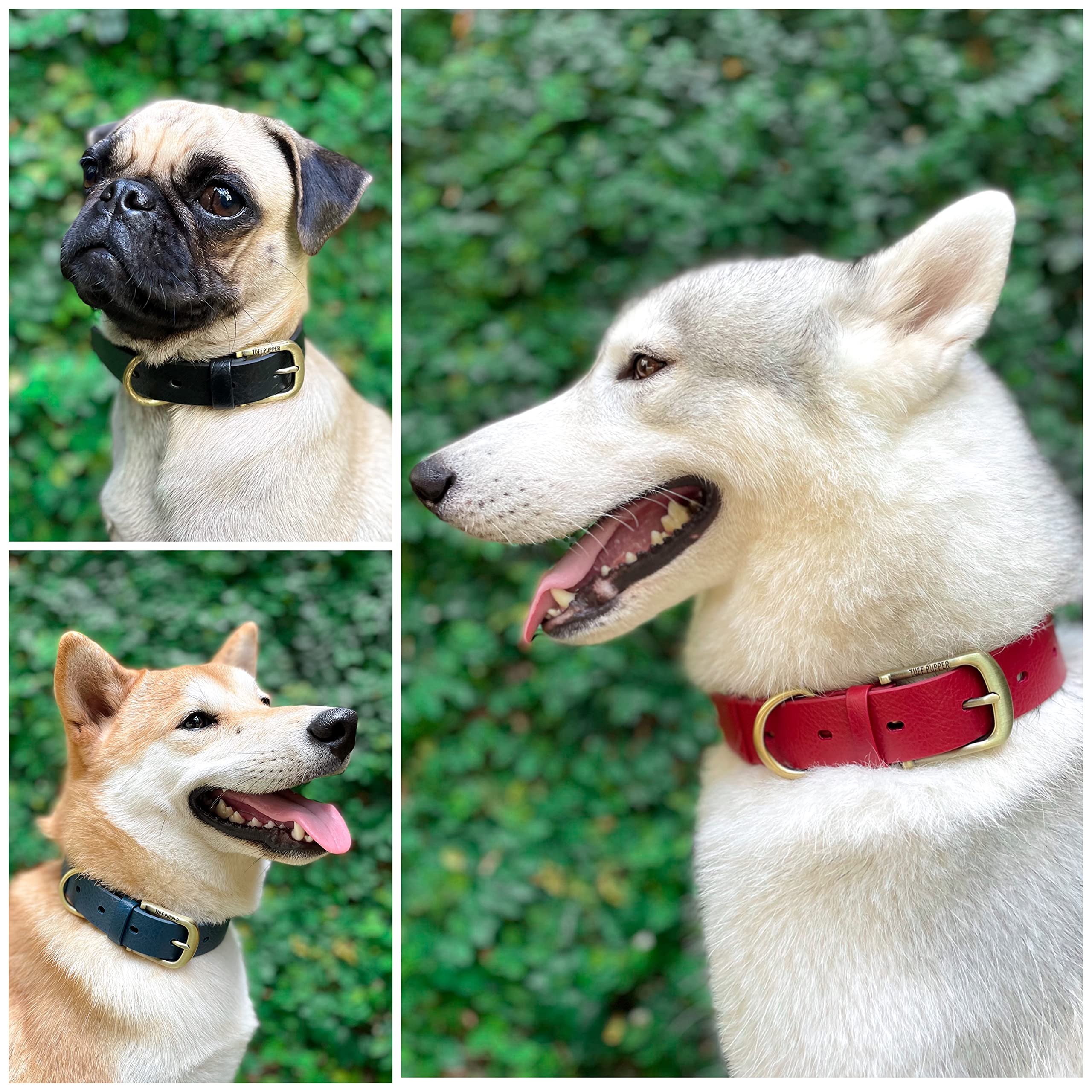 Tuff Pupper collar leather-style grain for elite look without sacrificing durability.
