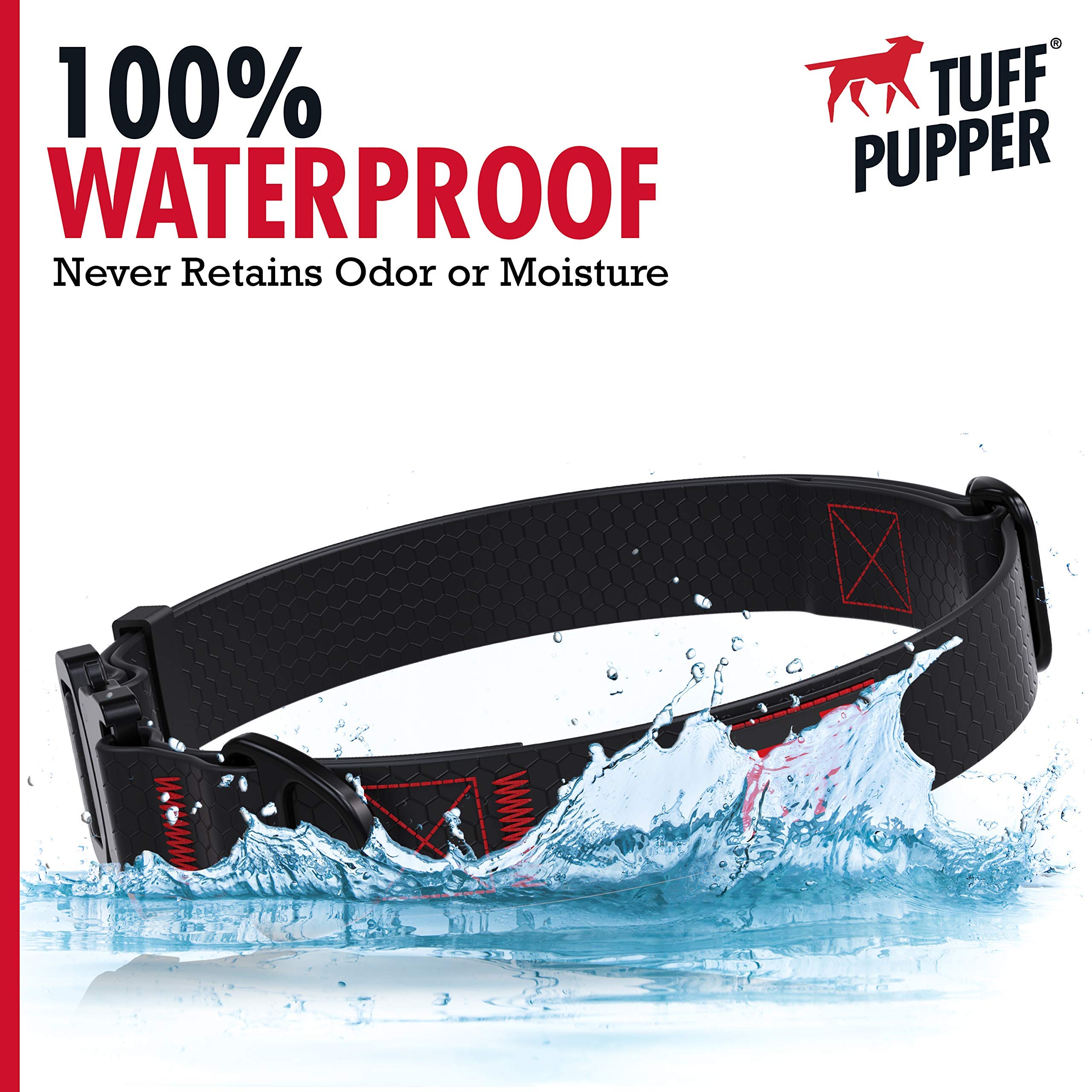 Tuff Pupper collar on dog after outdoor hike shows versatile use