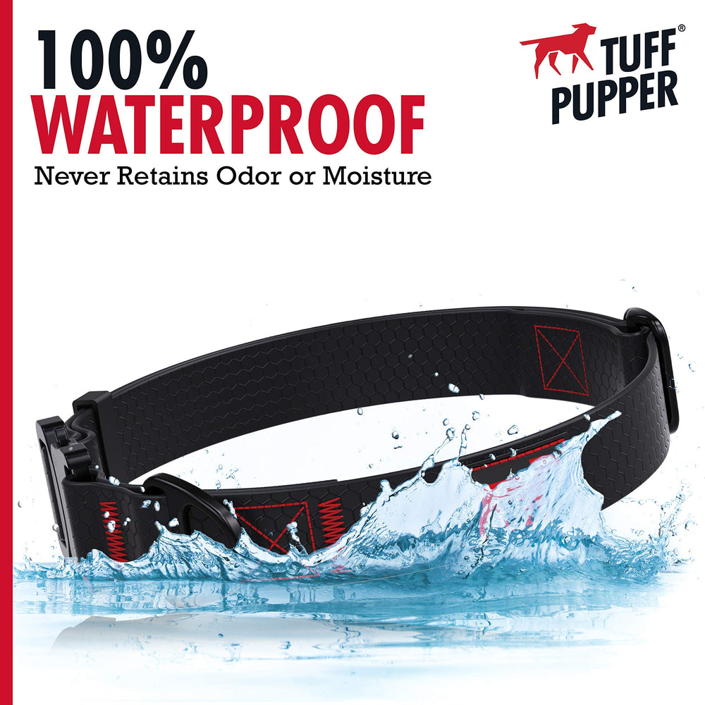 Tuff Pupper collar on dog after outdoor hike shows versatile use