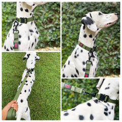 Tuff Pupper D-ring leash attachment closeup highlights reliable leash connection