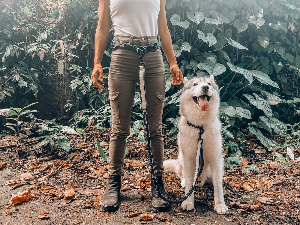 Tuff Pupper dog 125-lbs walking test scene demonstrates durability and reliability.