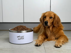 Tuff Pupper double-wall insulation keeps water cold for longer periods.