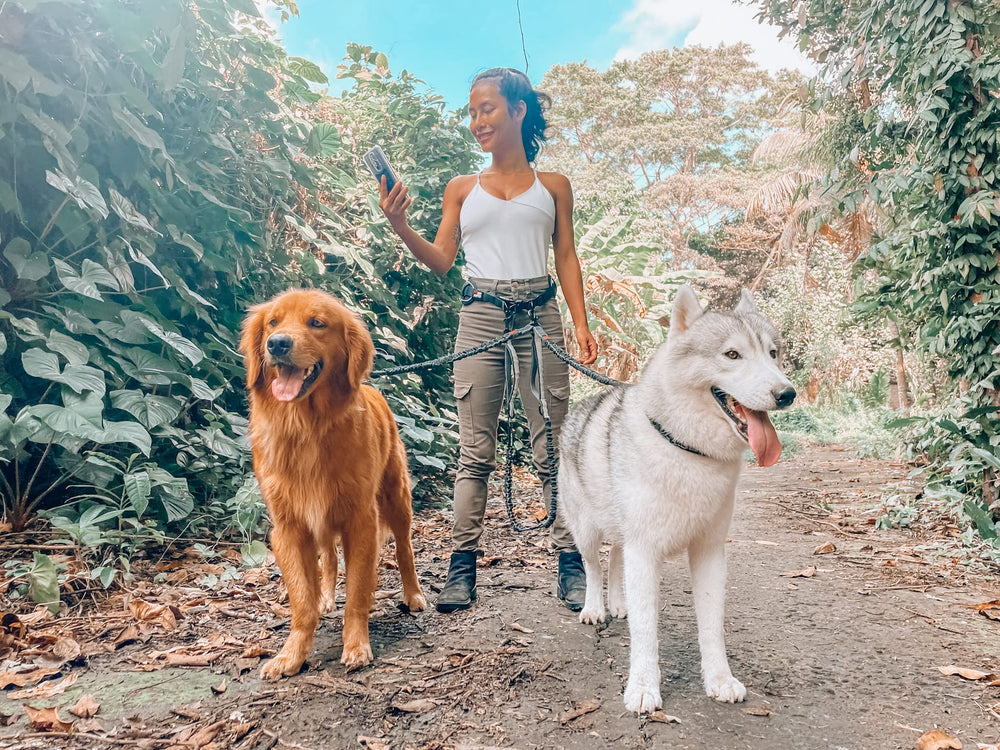 Tuff Pupper extendable multi-dog option demonstrated with add-ons