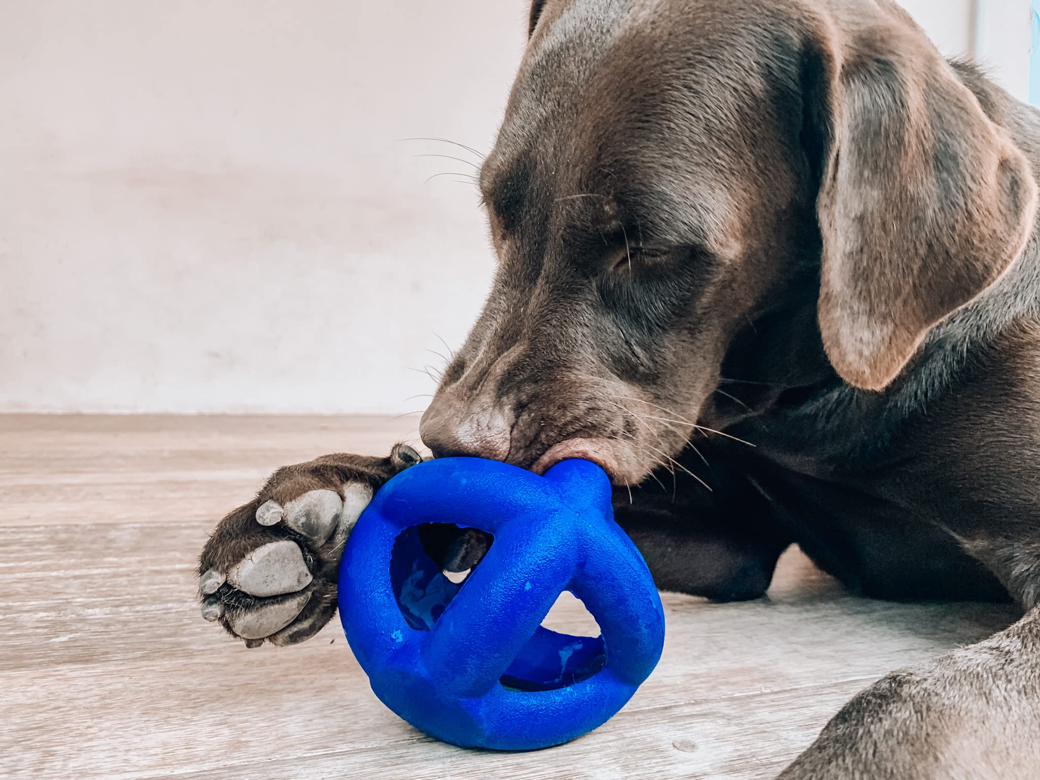 Tuff Pupper Garantía de por vida con reemplazo.