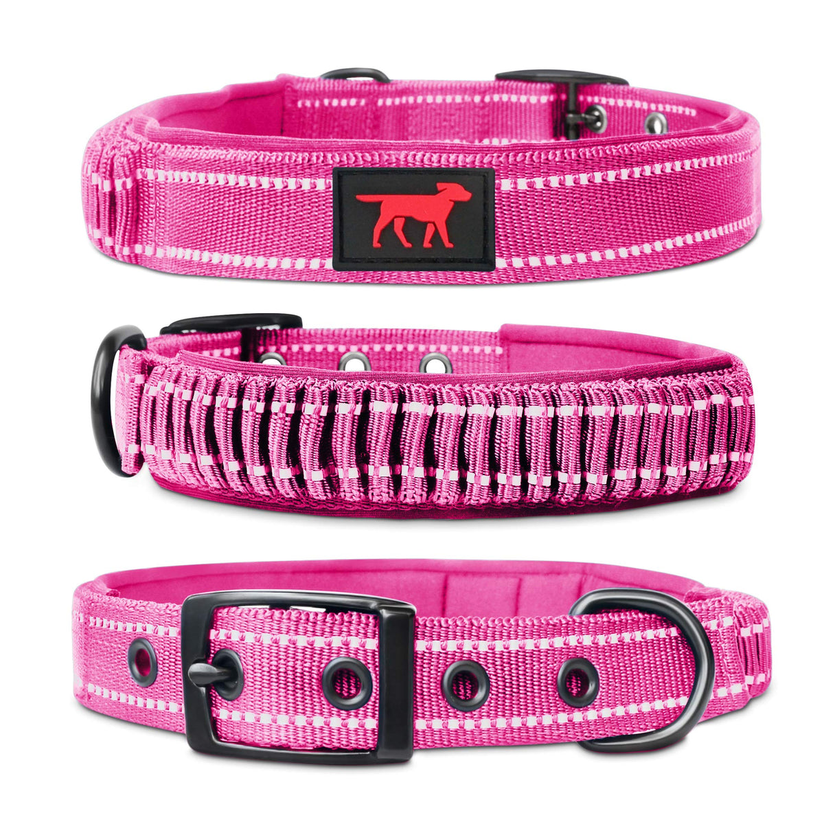 Tuff Pupper heavy-duty collar buckle close-up showing secure metal hardware for daily walks.