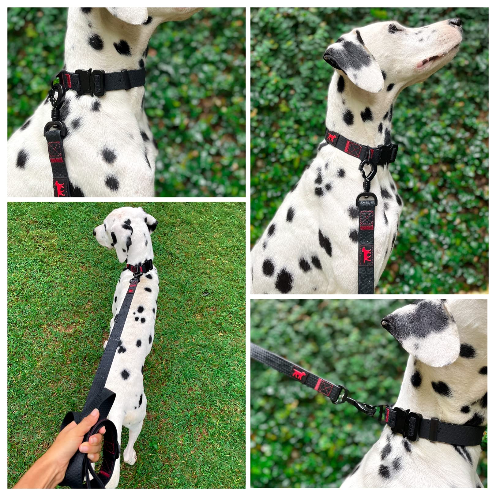 Tuff Pupper heavy-duty D-ring leash attachment emphasizes secure, durable connections