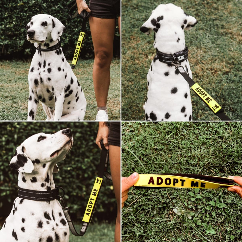 Tuff Pupper leash sleeve securely wraps on a 1 inch leash