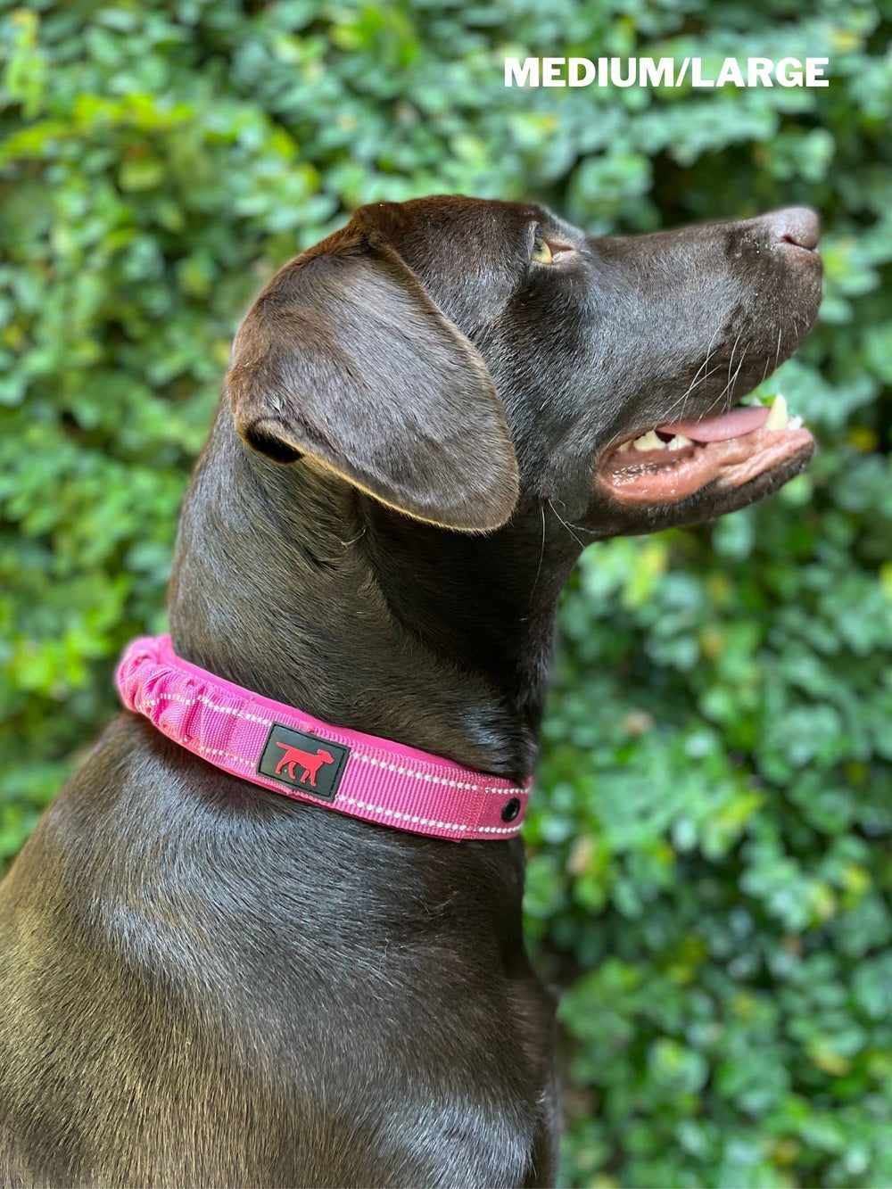 Tuff Pupper lifetime guarantee banner communicates trusted support against defects.