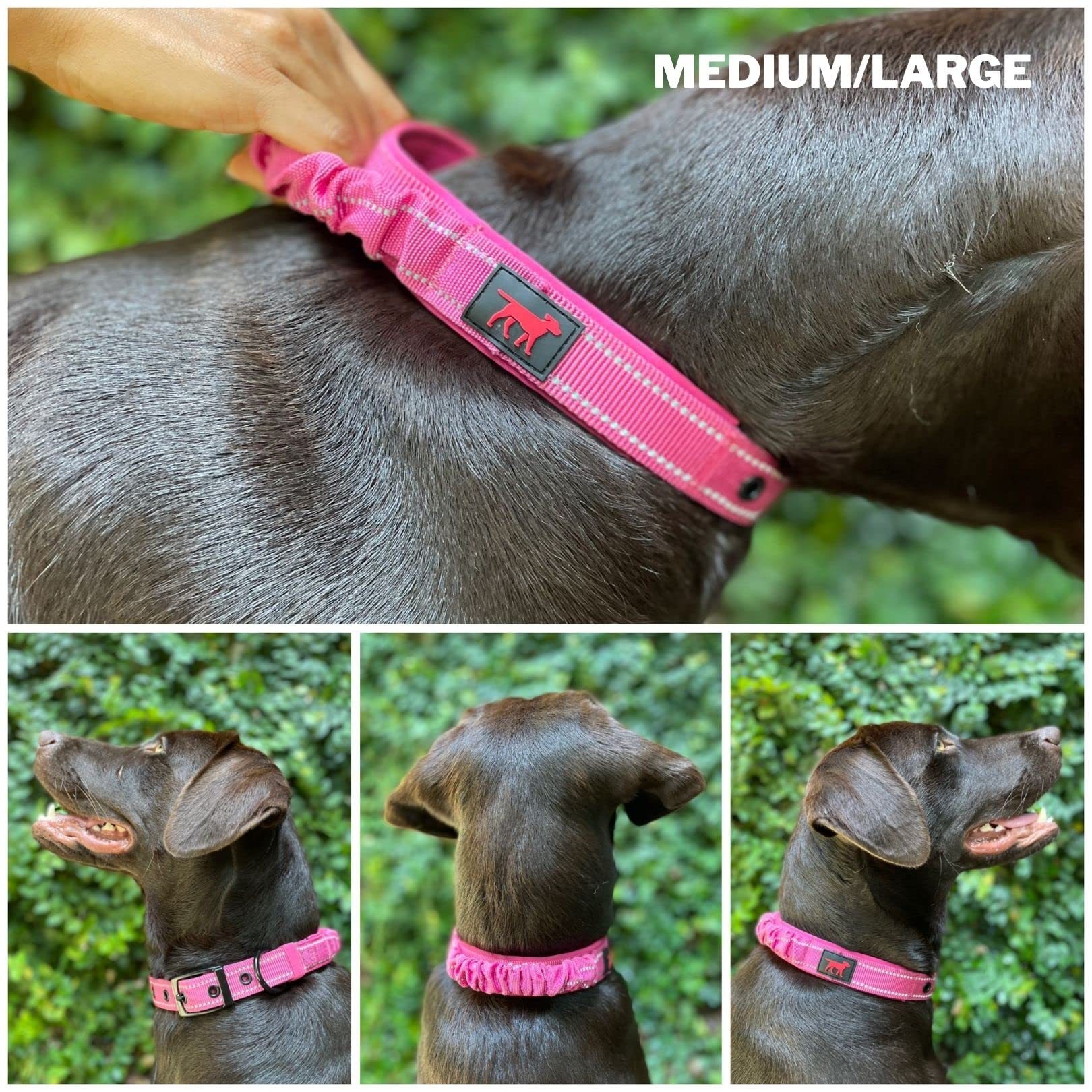 Tuff Pupper neoprene padding inside collar delivers breathable comfort during active days.