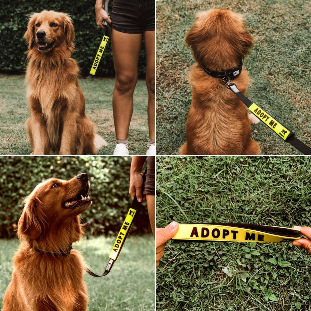 Tuff Pupper leash sleeve uses odor-proof material to stay fresh on adventures.