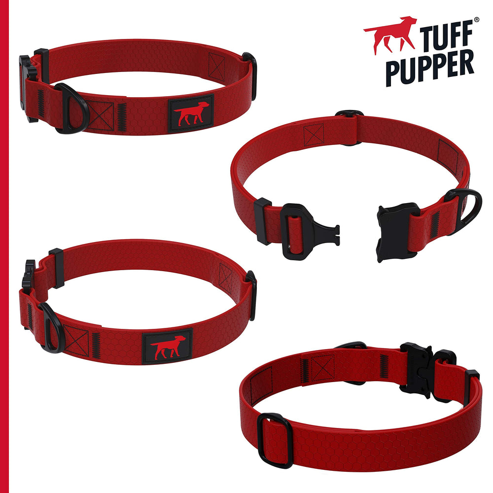 Tuff Pupper outdoor adventure collar on dog during hike
