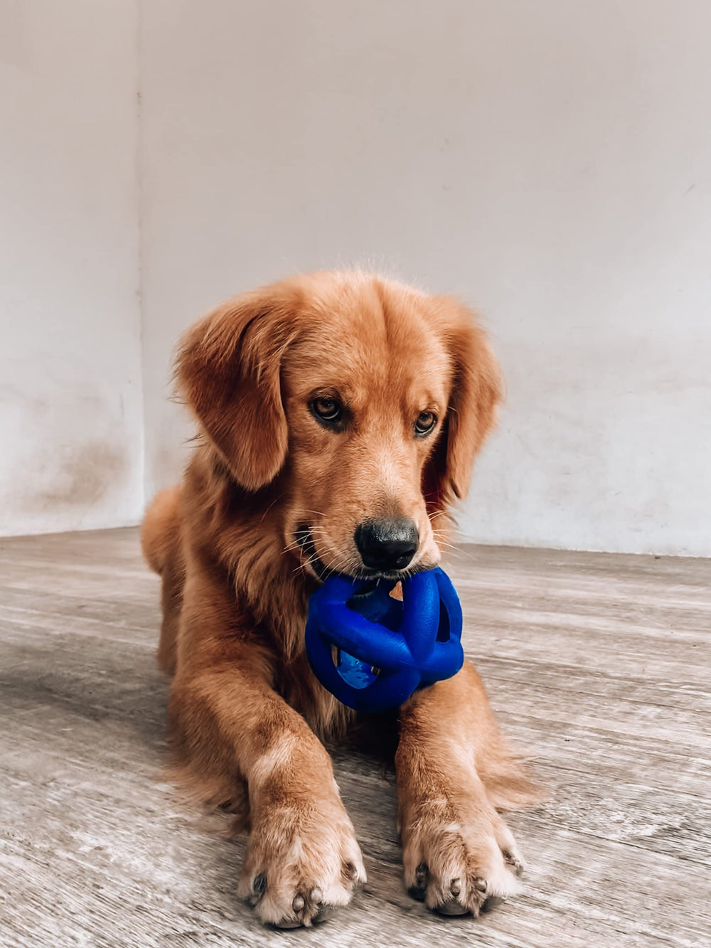 Tuff Pupper Pelota-jaula fácil de lavar con jabón.
