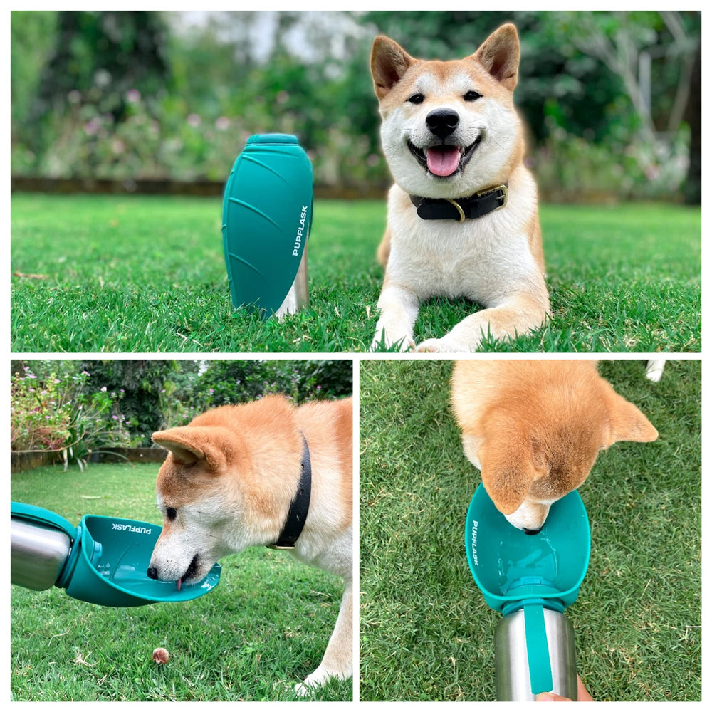 Tuff Pupper PupFlask 40oz bottle for larger dogs