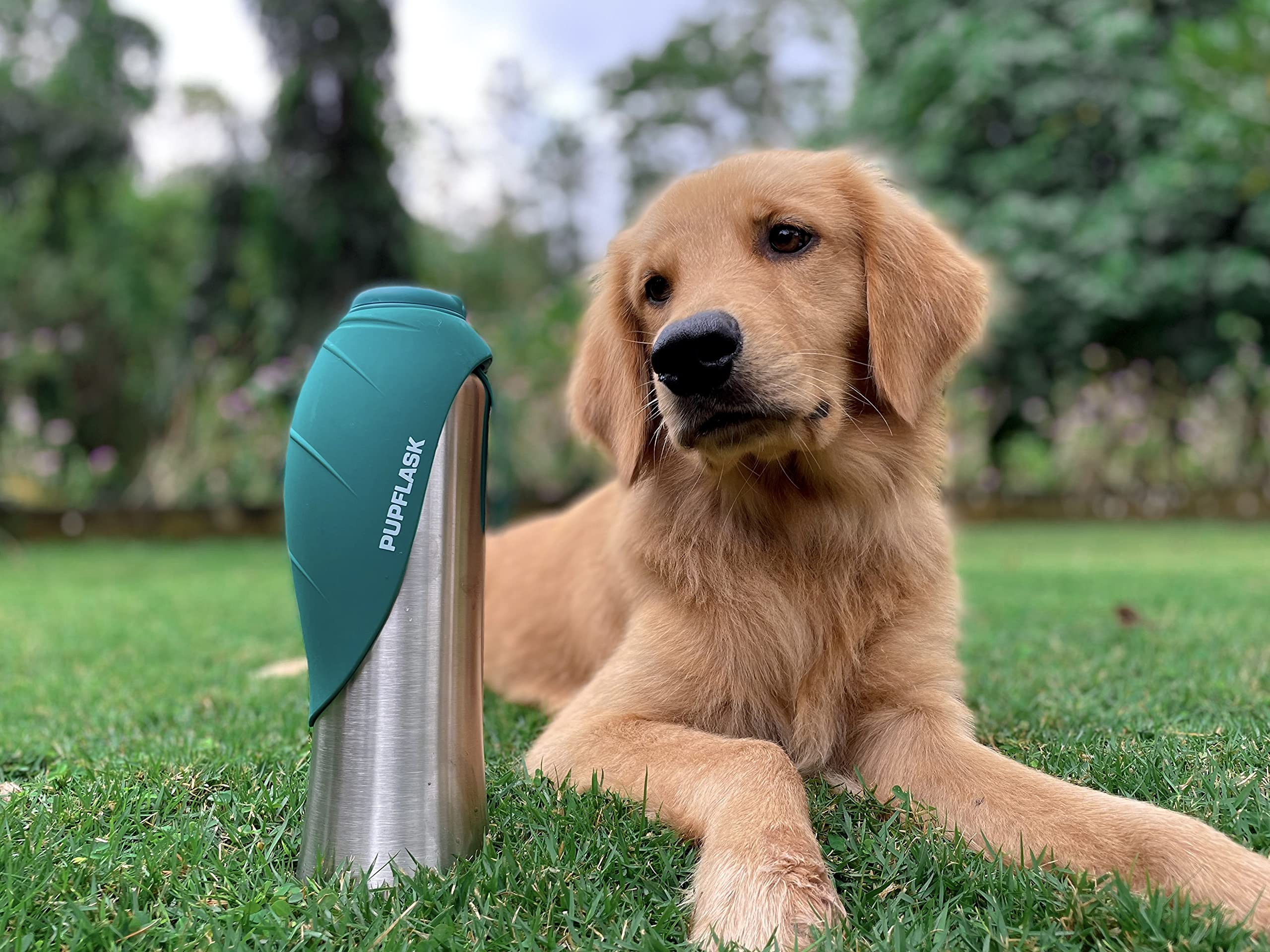 Tuff Pupper PupFlask care-friendly design supports easy cleaning