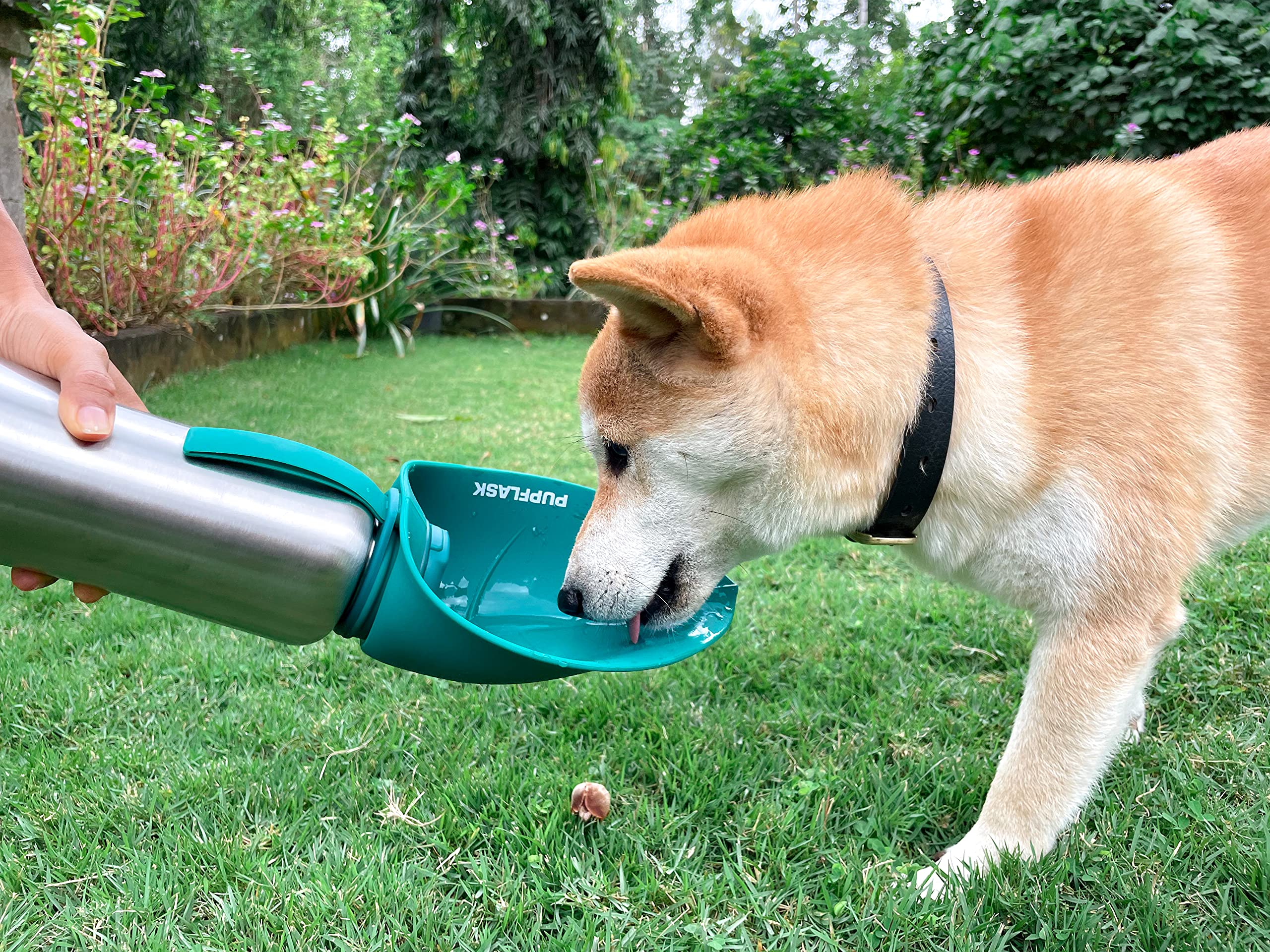 Tuff Pupper PupFlask ideal for dog walkers and road trips