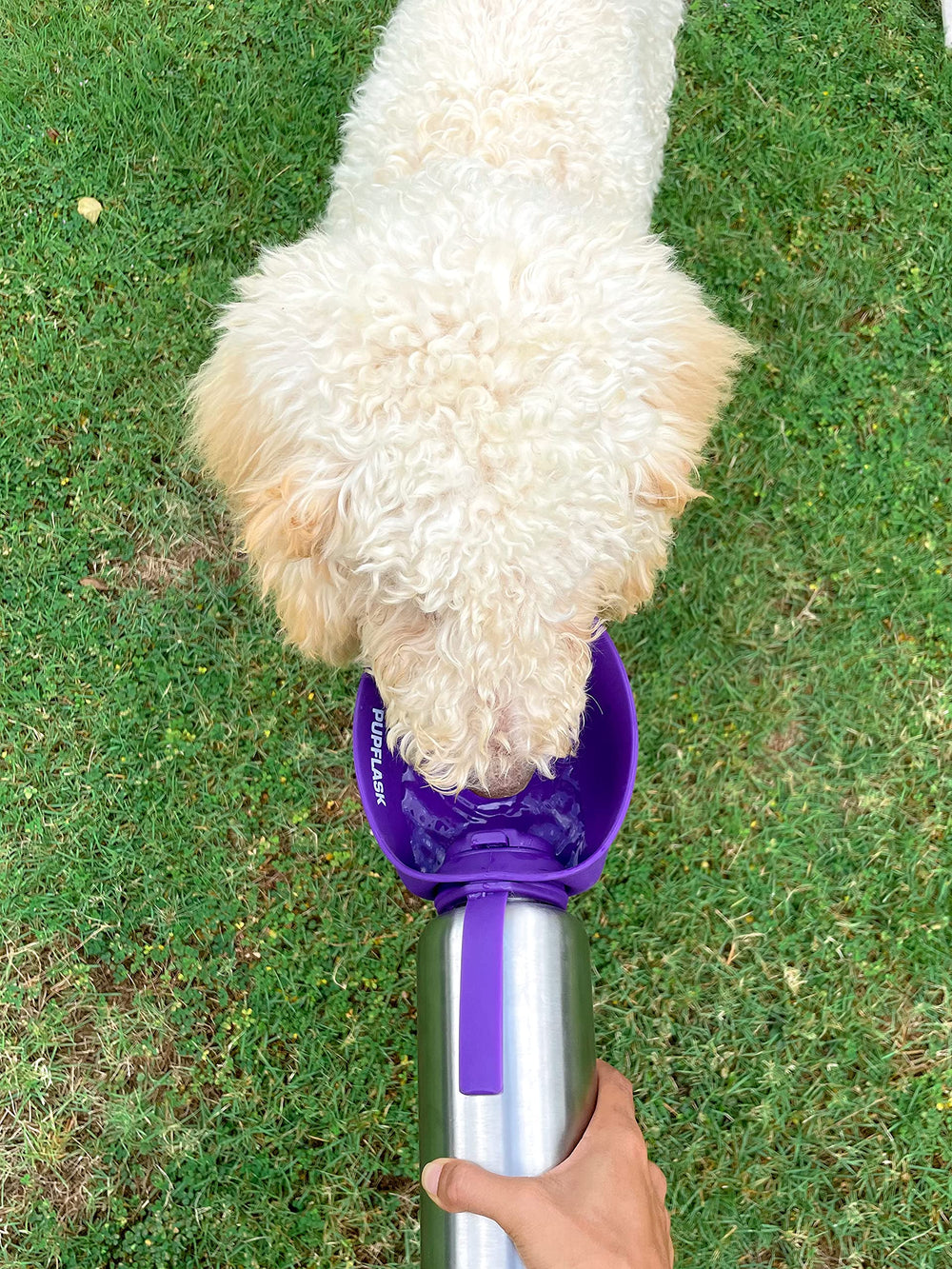 Tuff Pupper PupFlask travel-ready hydration for all breeds.