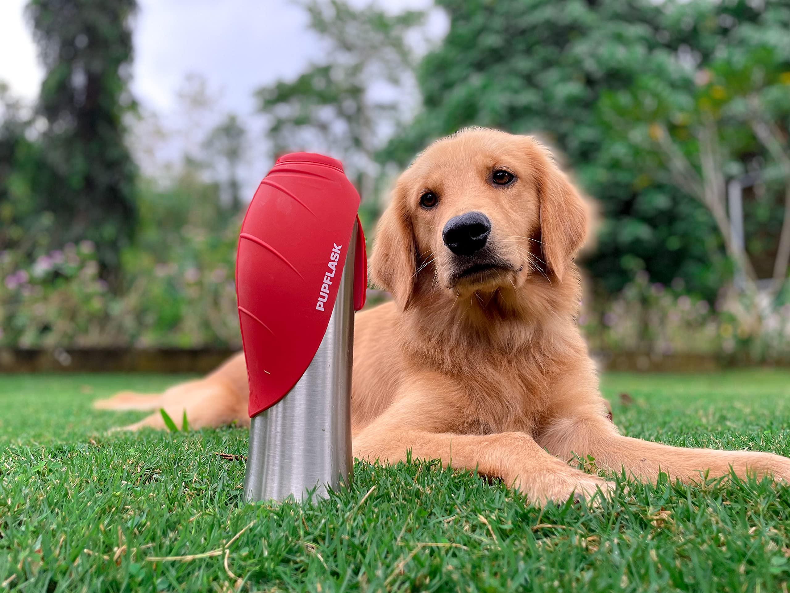 Eco-friendly materials in PupFlask promote responsible pet hydration