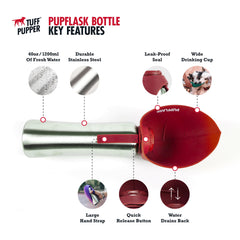 PupFlask on-the-go hydration ideal for dogs and owners during adventures