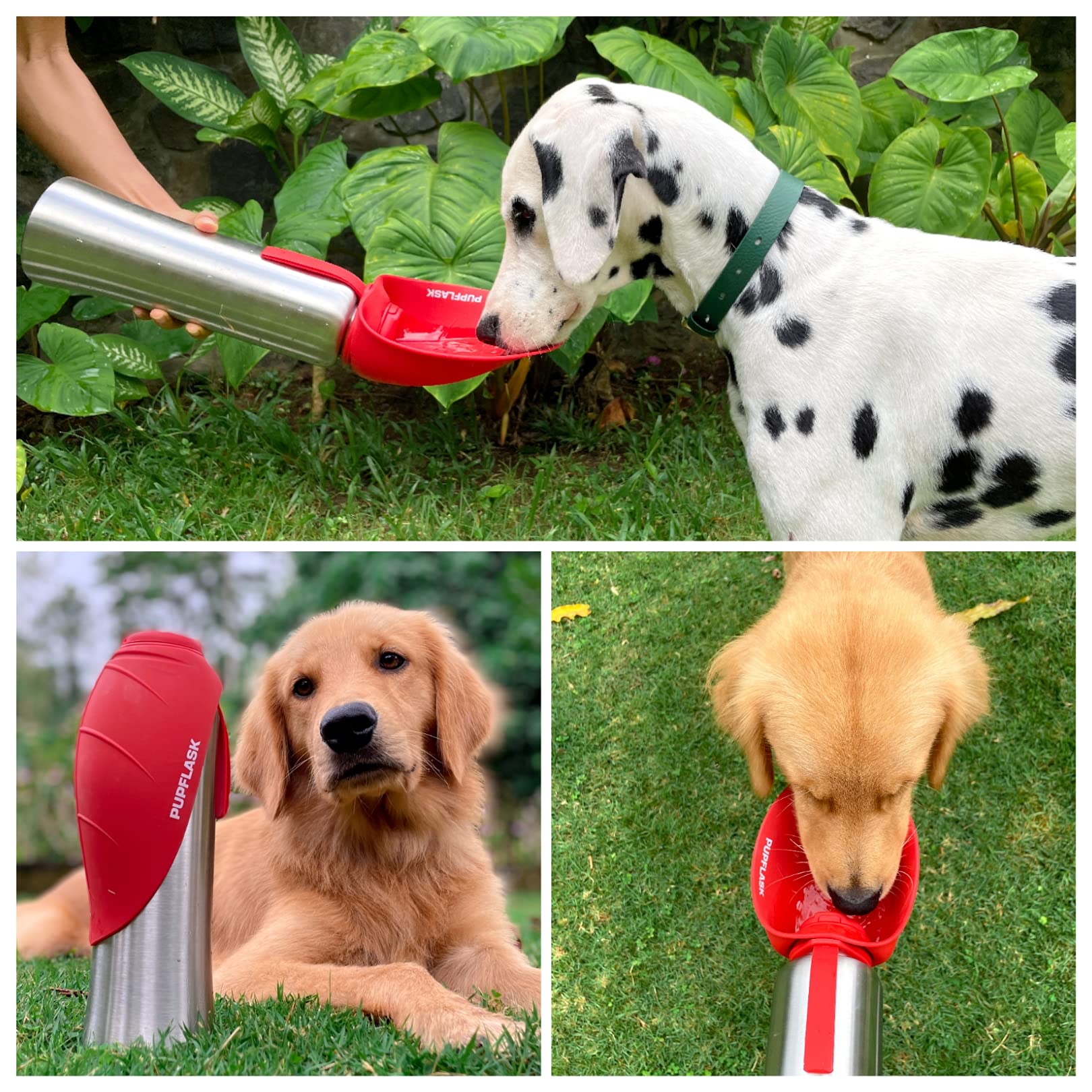 Tuff Pupper PupFlask stainless steel body built for durability and easy cleaning