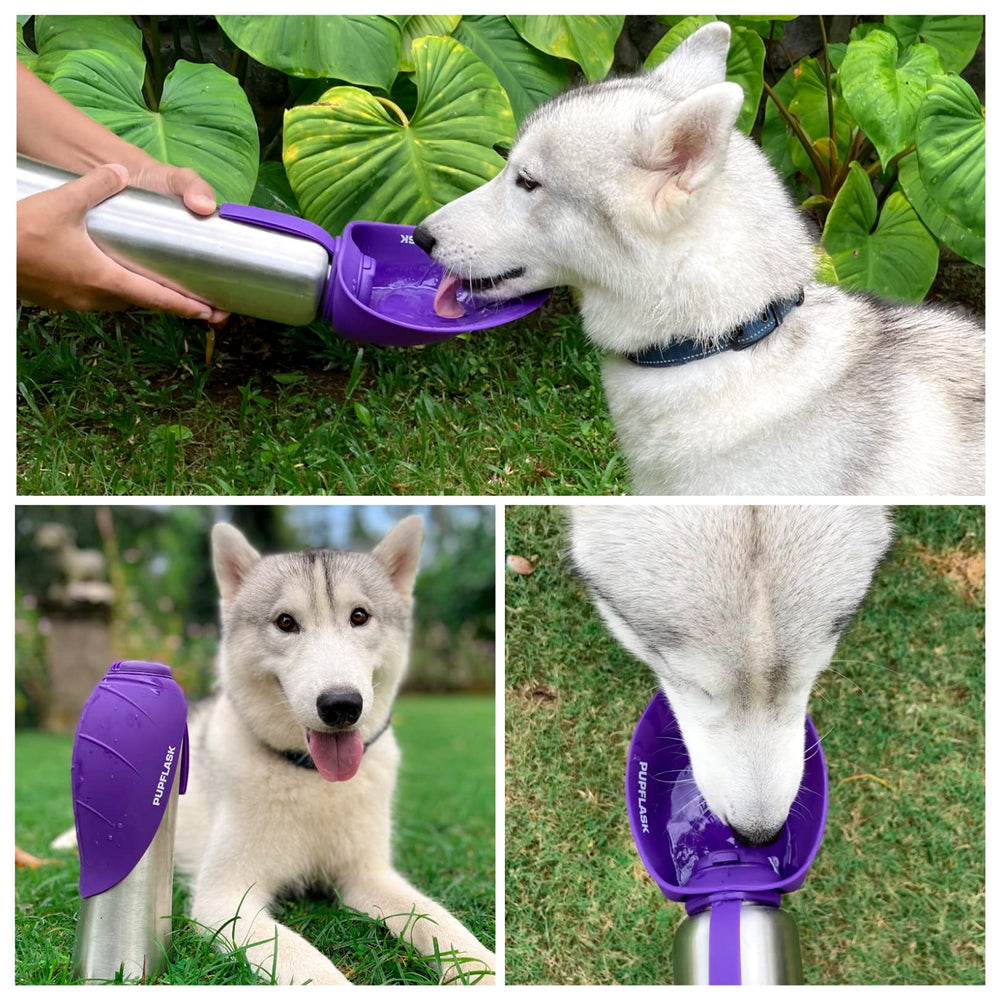 Tuff Pupper PupFlask odorless materials ensure odorless travel.