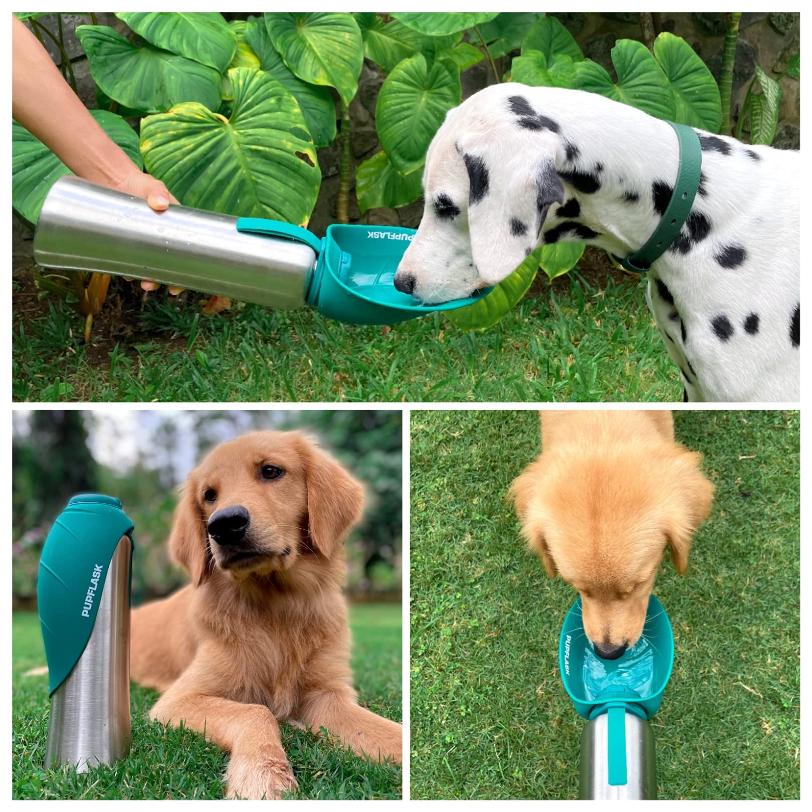 Tuff Pupper PupFlask travel-ready design ensures portable hydration outdoors
