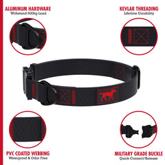 Tuff Pupper quick-release buckle demonstrates fast, reliable collar adjustments