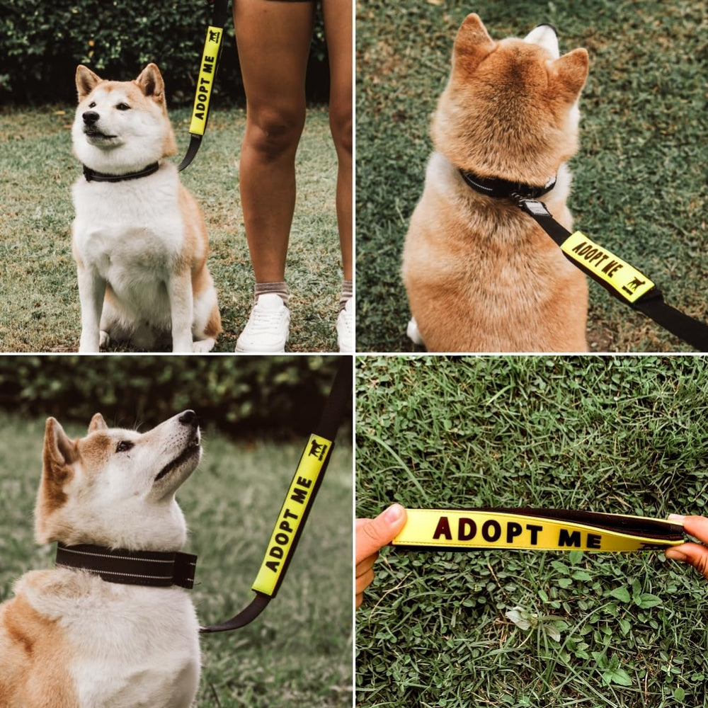 Tuff Pupper wrap-on leash sleeve secures quickly without slipping.