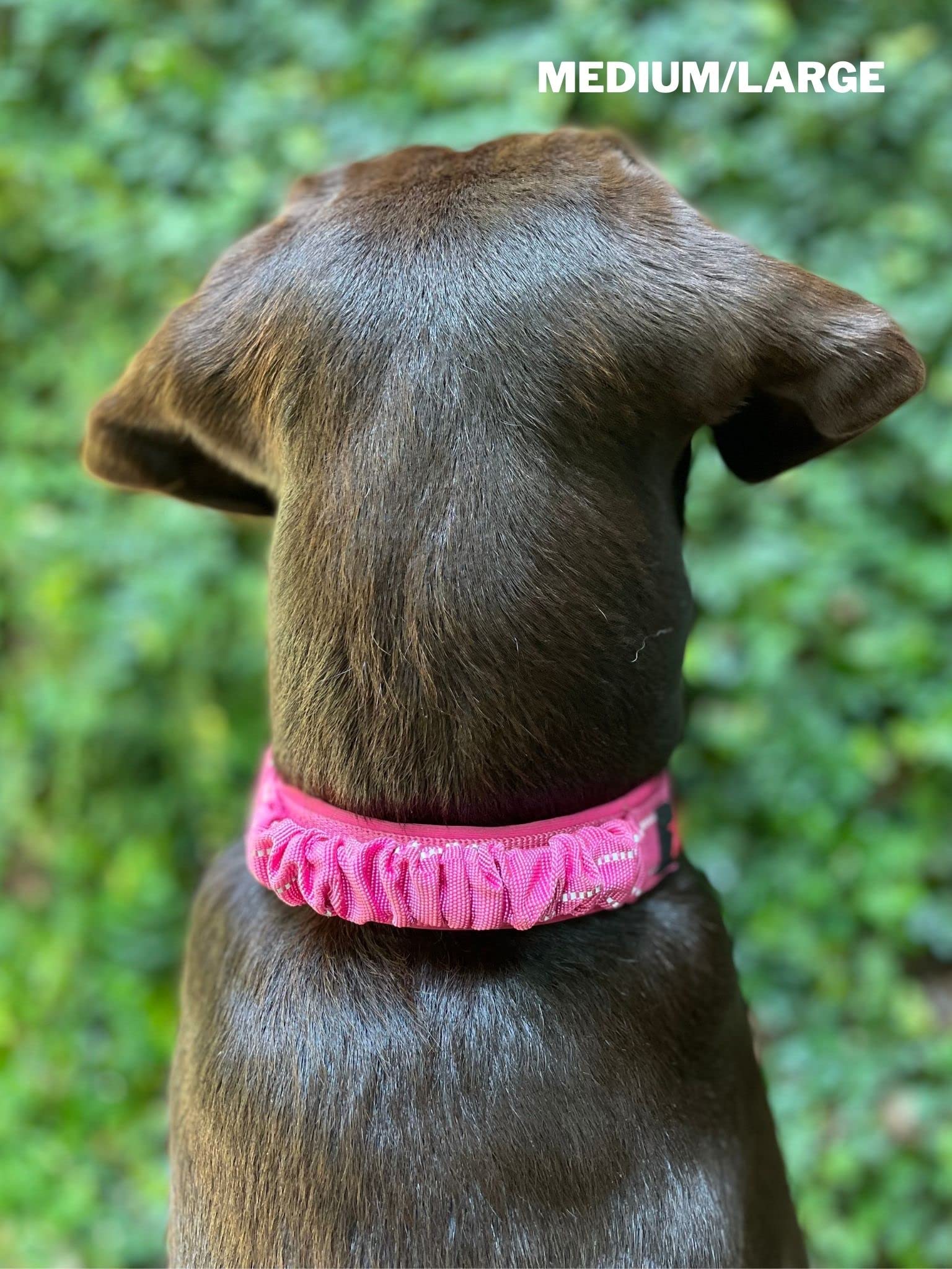 Tuff Pupper stainless steel hardware ensures long-lasting security and reliability.