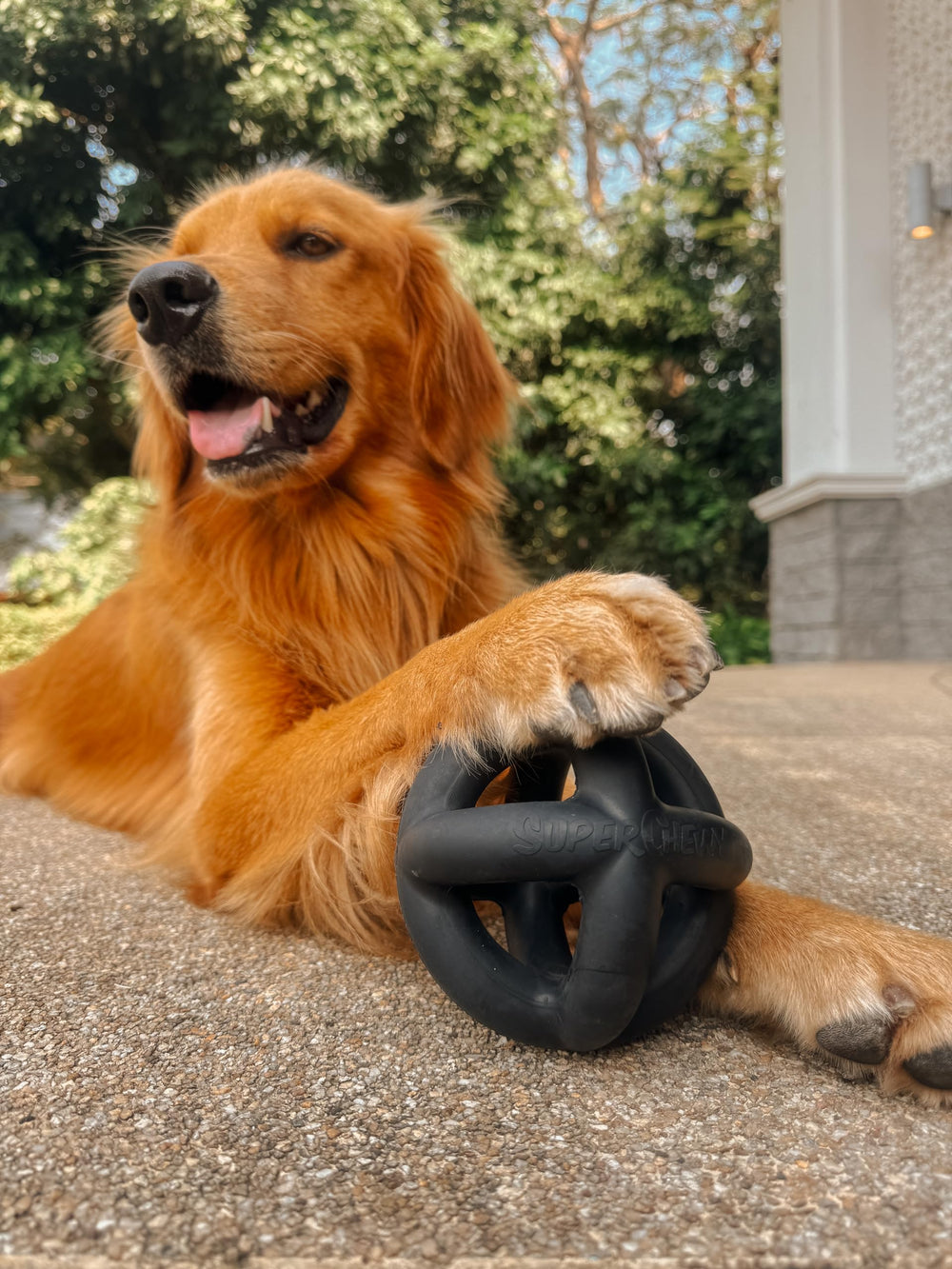 Tuff Pupper SuperChewy ball extreme-chew-test—engineered for long-lasting play.