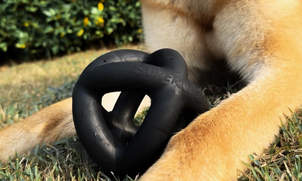 Tuff Pupper SuperChewy ball lifetime-guarantee—reliable support and hassle-free replacement.