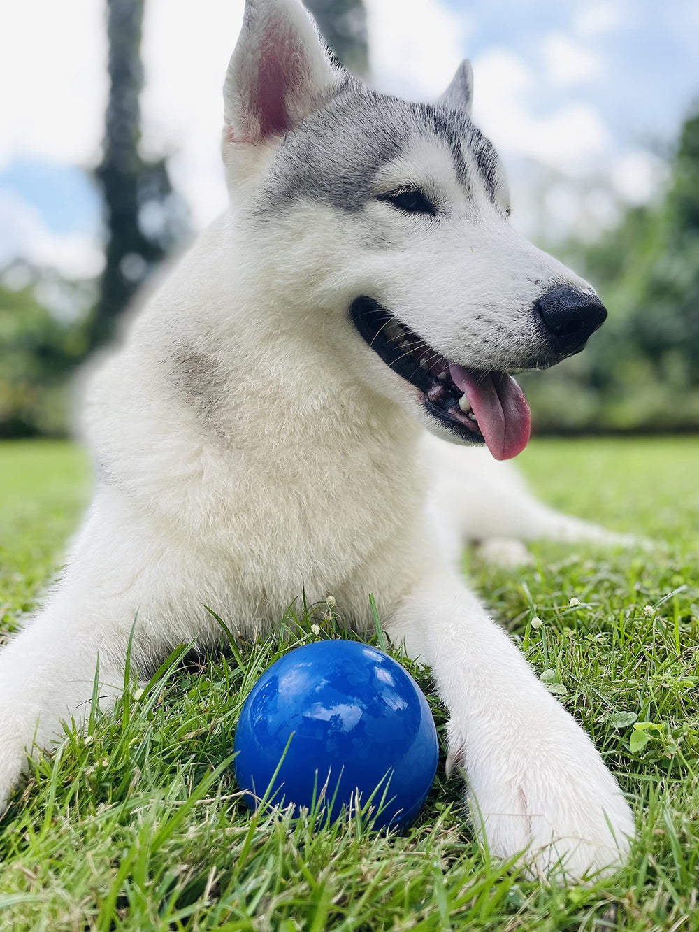 Tuff Pupper SuperChewy ball toy promotes bonding during interactive fetch sessions.