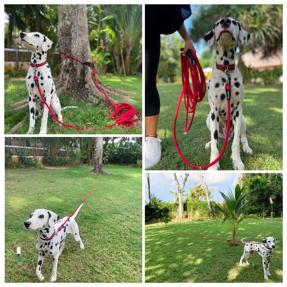 Tuff Pupper tie-down use in forest or park settings for campouts.