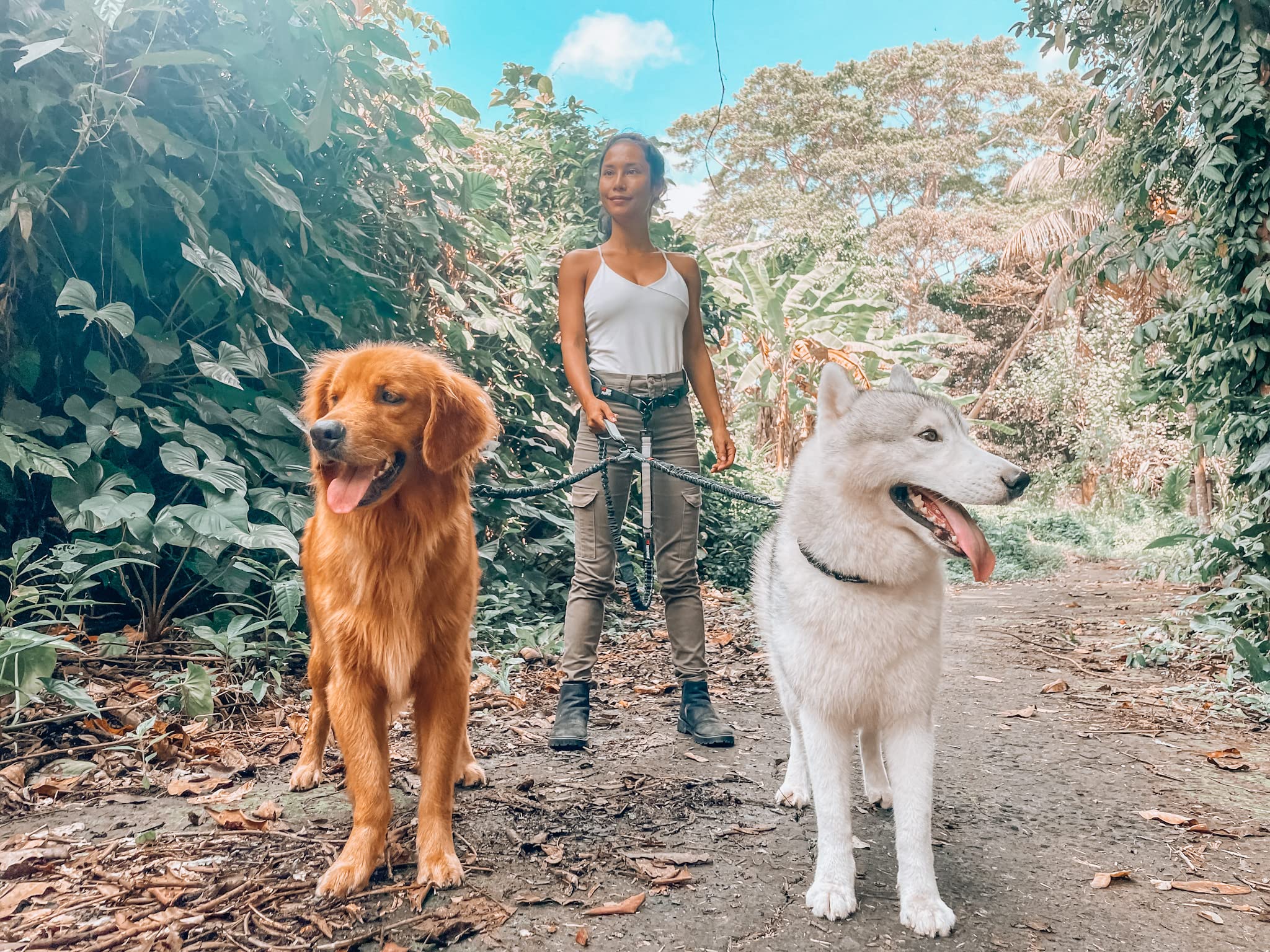Tuff Pupper two-dog walking scene showing hands-free setup