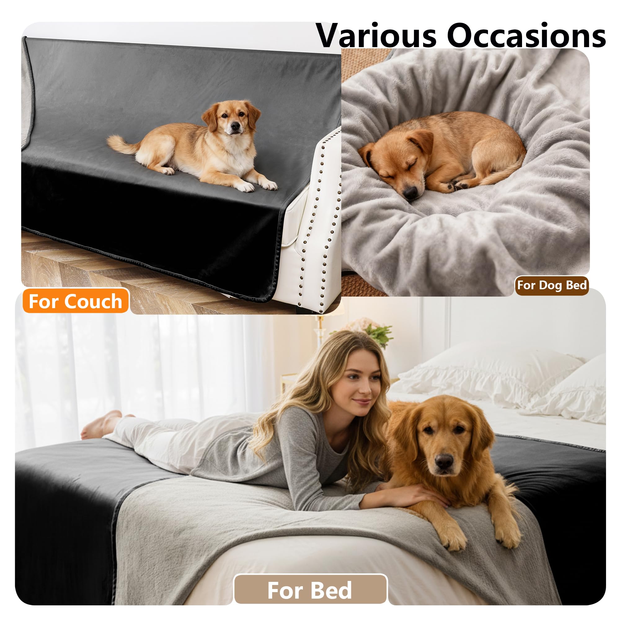 Tuffeel dog bed use showing a blanket as a protective cover in a pet space