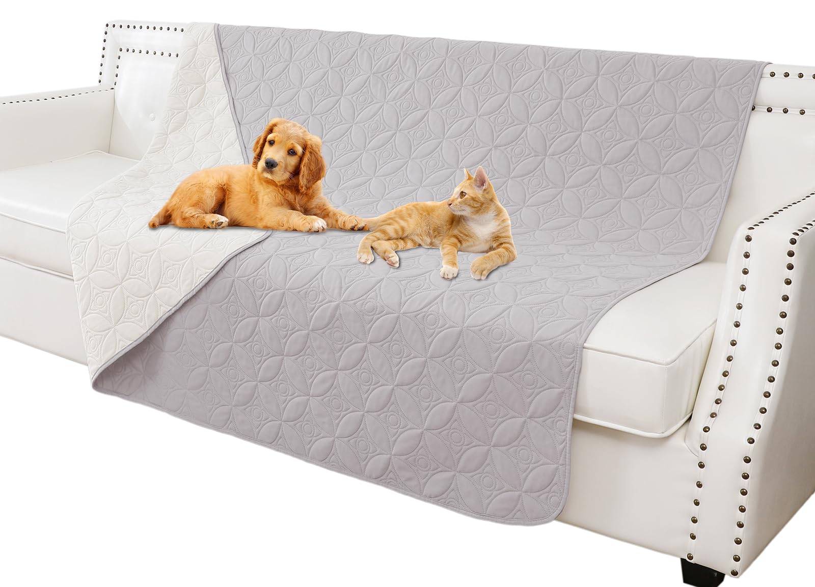 Tuffeel dog blanket on sofa with reversible colors for versatile protection