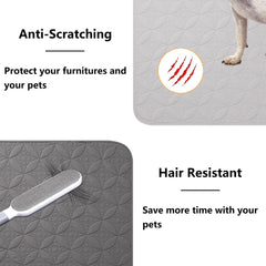 Tuffeel dog blanket on chair or bed acts as a lightweight, durable protector.