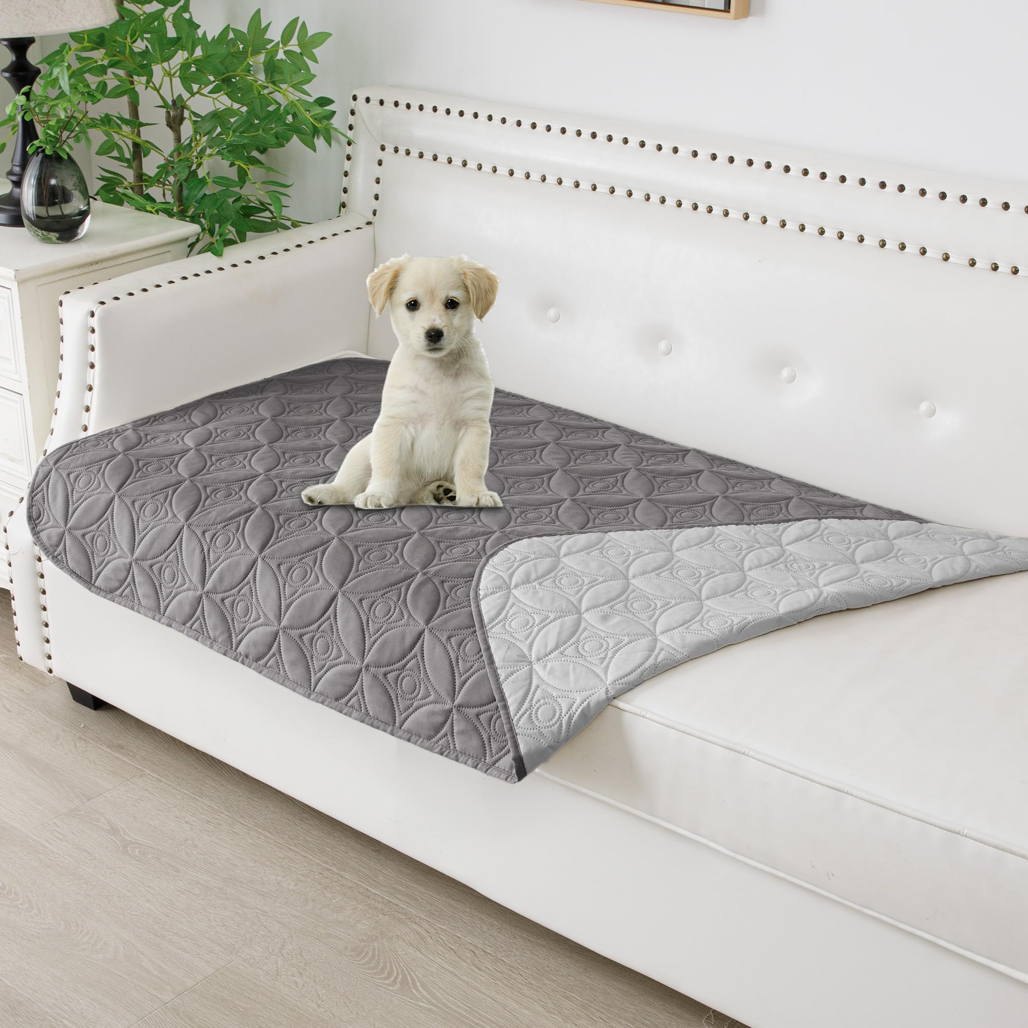 Tuffeel waterproof dog blanket flat on sofa protects against hair and spills.