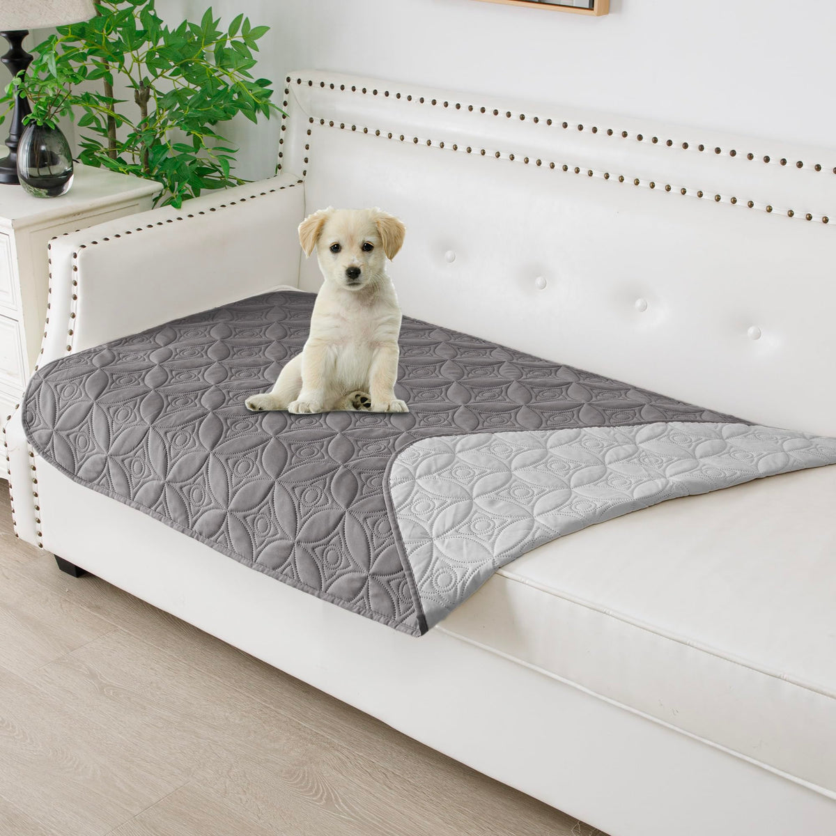 Tuffeel waterproof dog blanket flat on sofa protects against hair and spills.