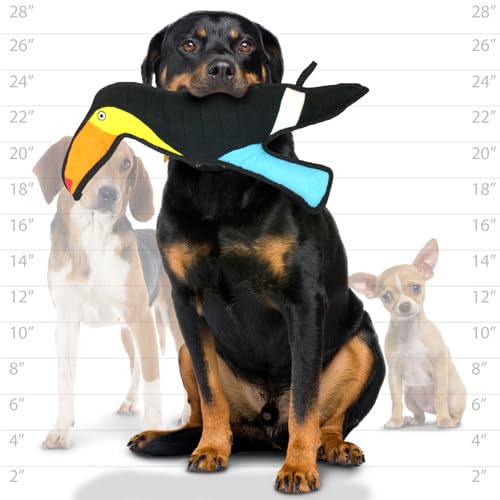 TUFFY Zoo Toucan machine-washable simplifies cleanup after active sessions.