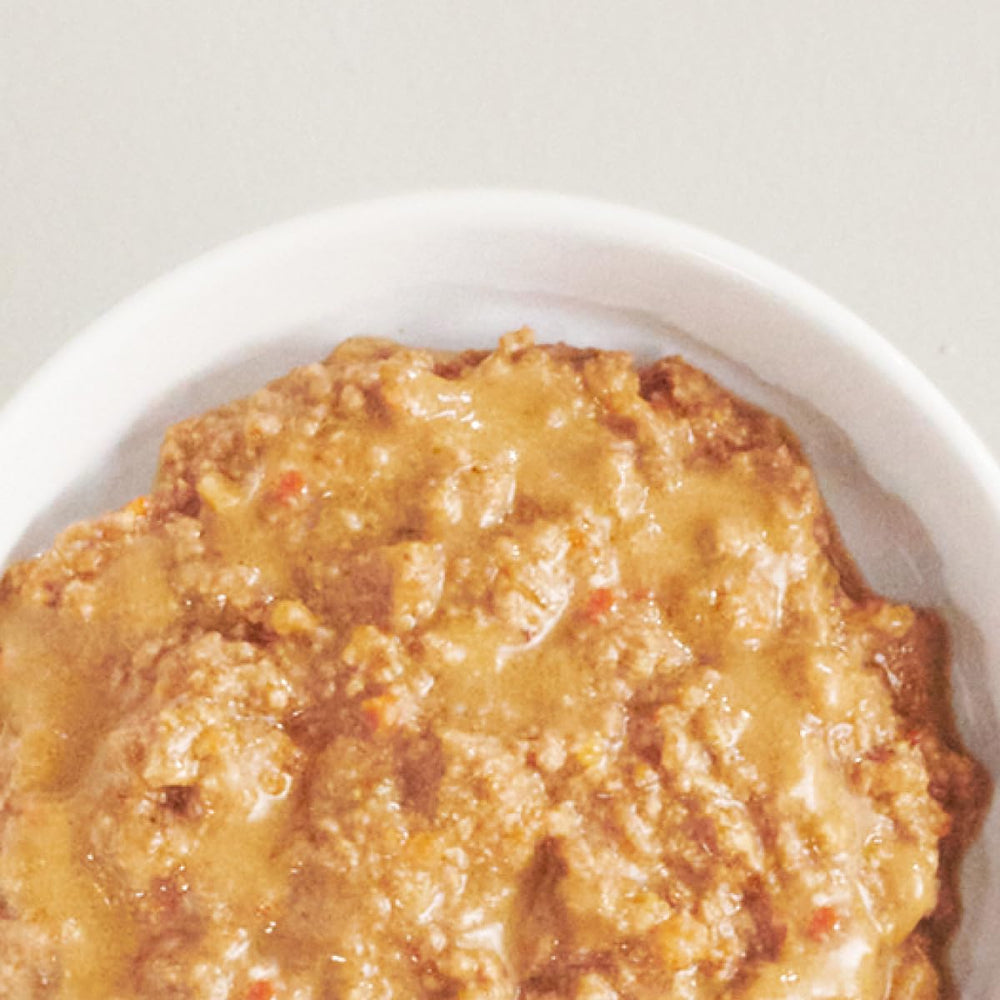 TUFT + PAW cat food serving bowl reveals stew texture and appetizing color.