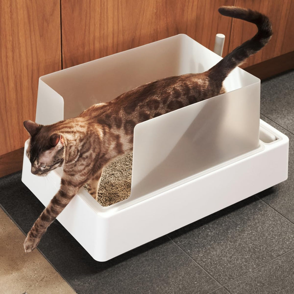 Tuft & Paw Cove brush and dustpan aid fast tidyups.
