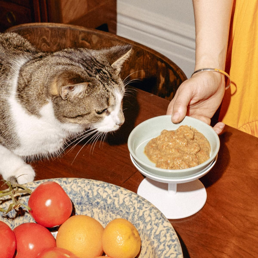 TUFT + PAW salmon oil image highlights omega-3 for skin and coat.